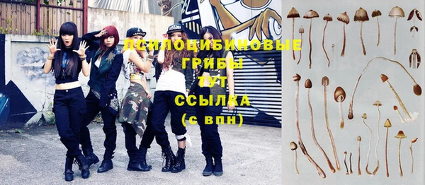 шишки Медногорск
