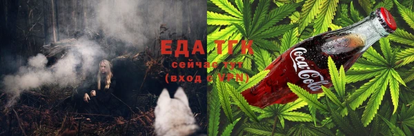 шишки Медногорск