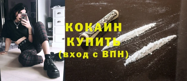 шишки Медногорск