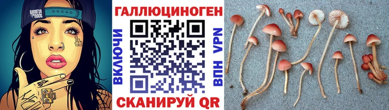 Галлюциногенные грибы Psilocybe  Купить закладки  Ярцево 