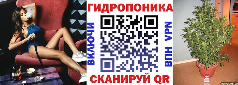 Бошки марихуана AK-47  Купить закладки  Ярцево 